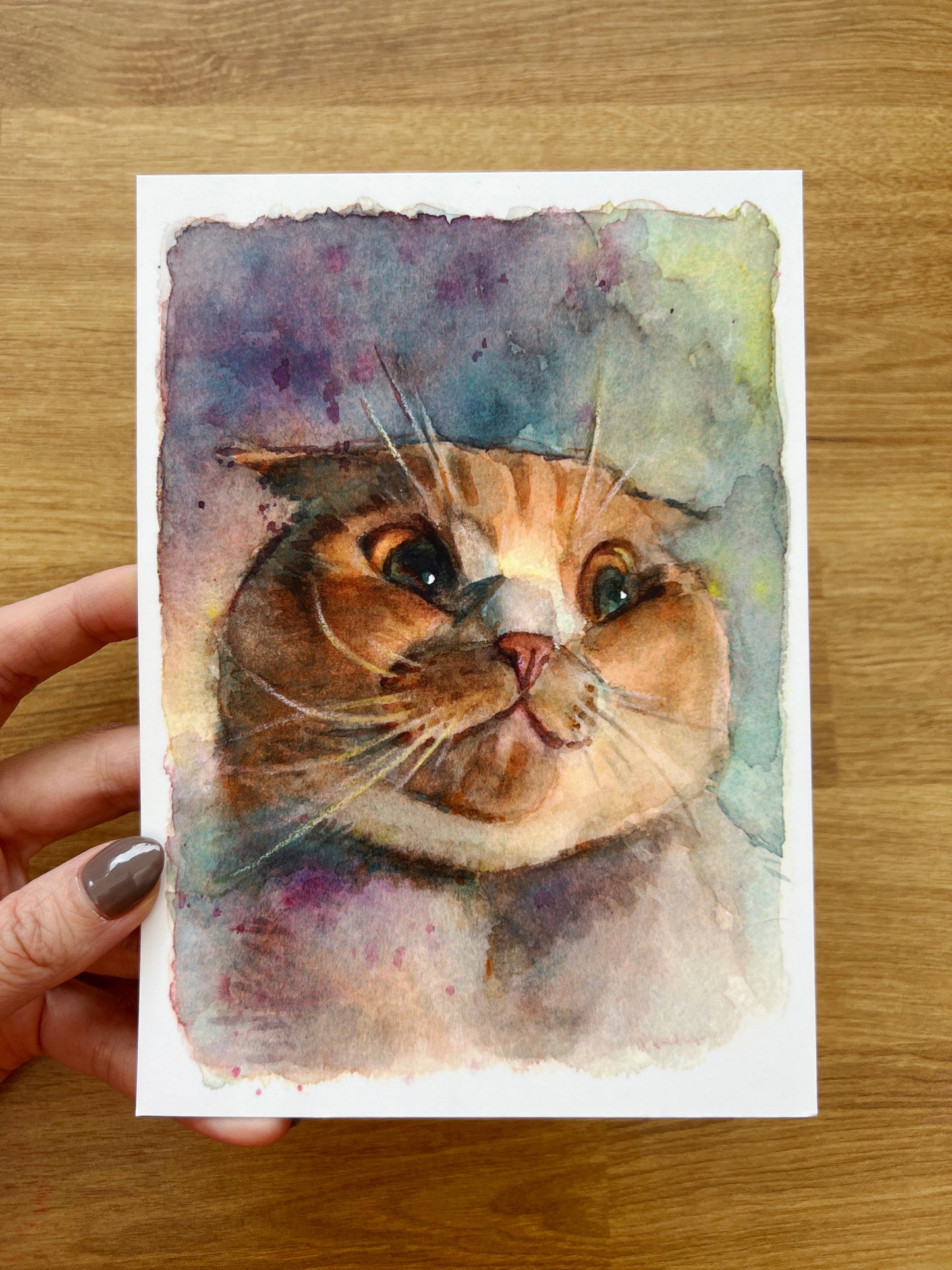 Scottish Fold Mini Print