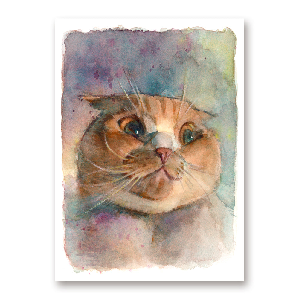 Scottish Fold Mini Print